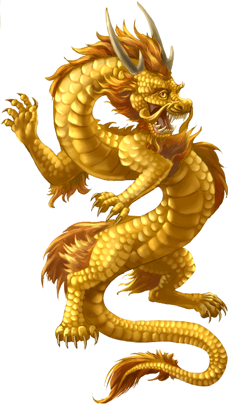 Gold Dragon