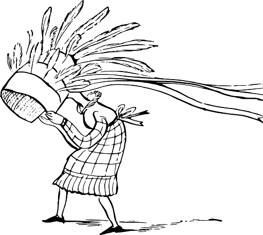 Edward Lear Drawing Feather Cap