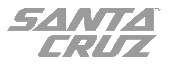Santa Cruz Logo Grey