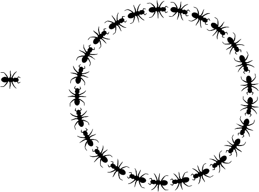 Teamwork One Ant out of the Circle