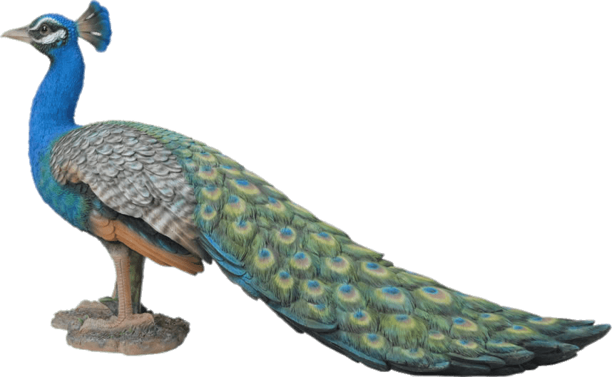 Peacock Garden Ornament