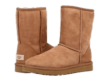 Chestnut Winter Boots UGG