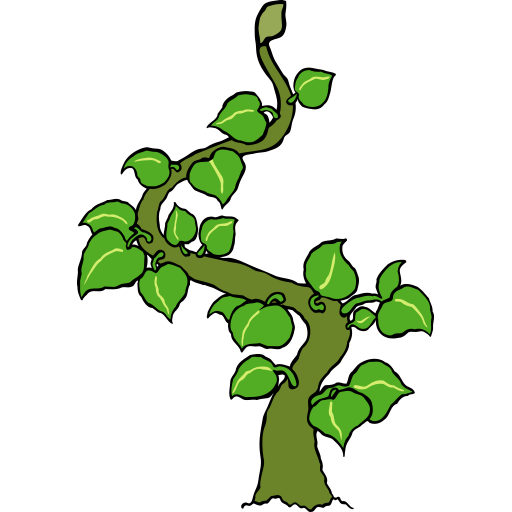 Leafy Beanstalk