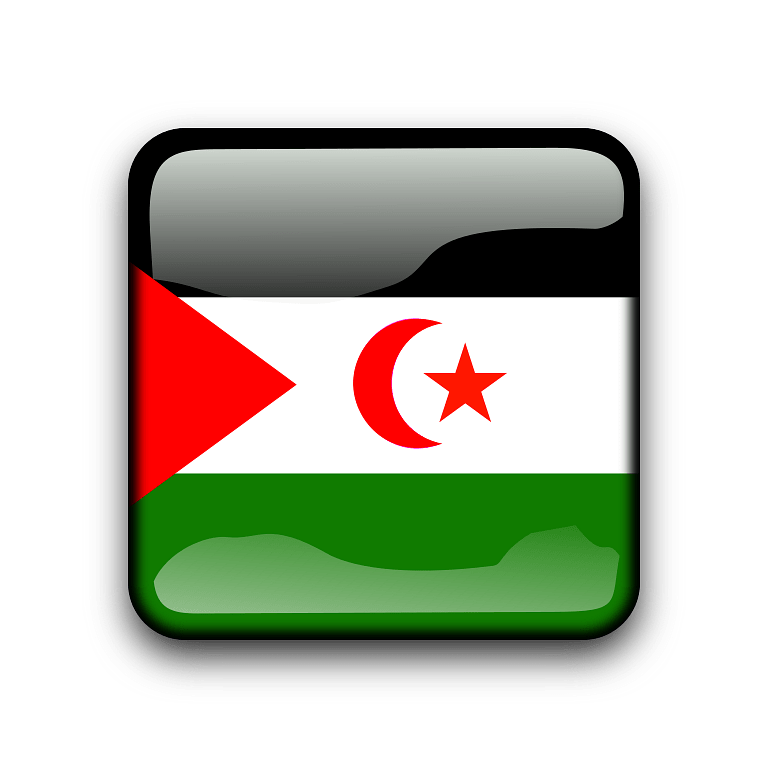 Western Sahara Flag Icon