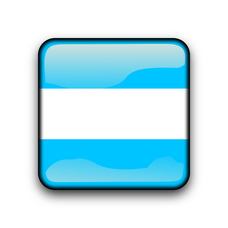 Argentina Flag Icon