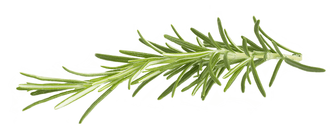 Rosemary