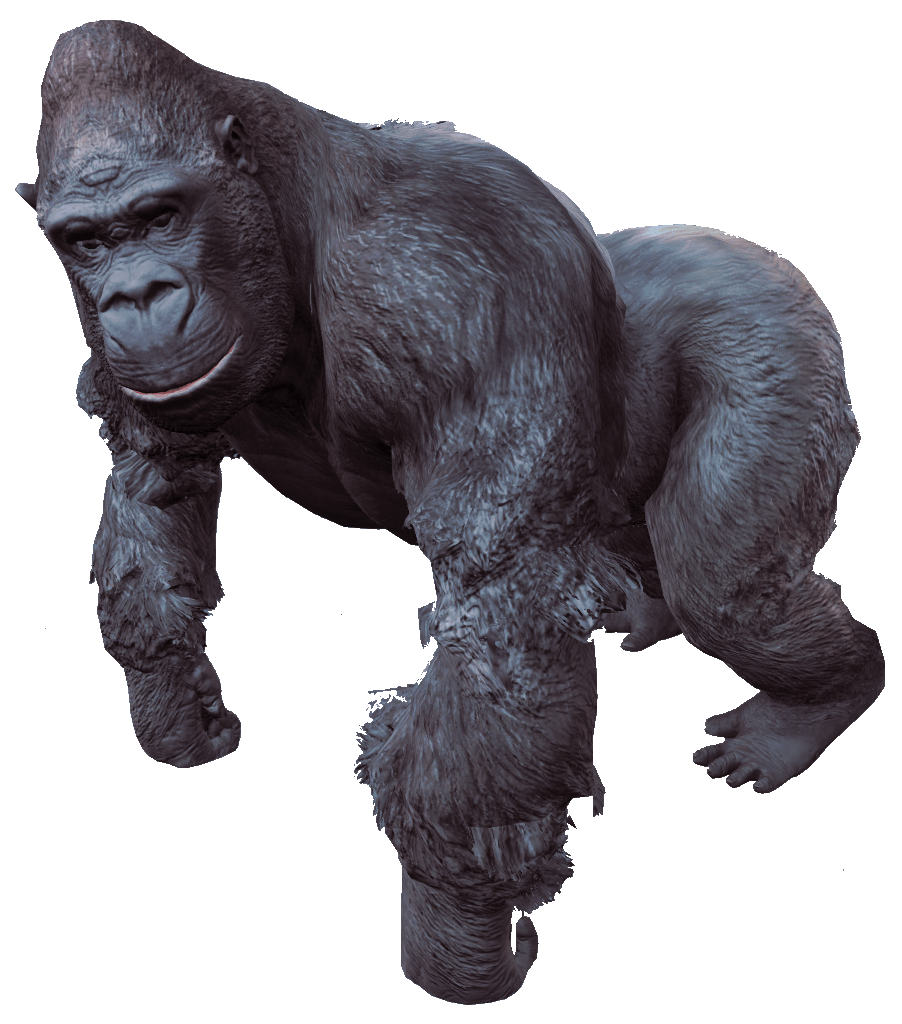 Gorilla