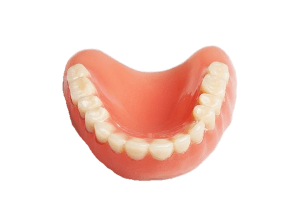 False Teeth Lower Denture