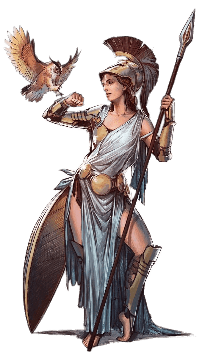 Athena Illustration