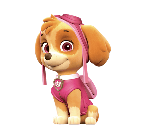 Paw Patrol Skye