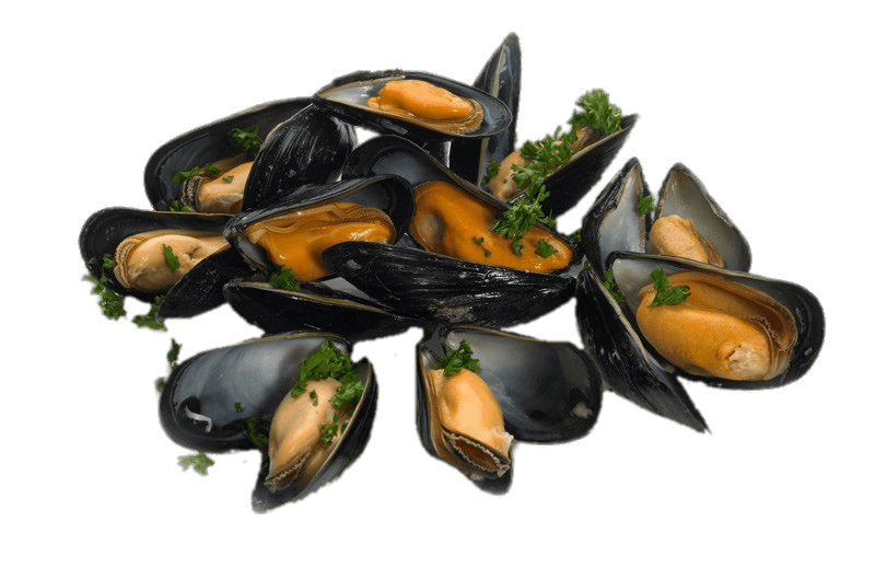 Cooked Mussels With Parsley
