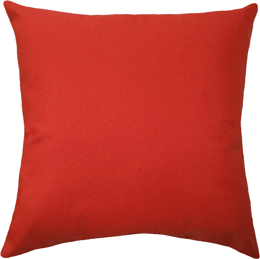 Large Red Pillow