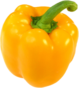 Yellow Bell Pepper