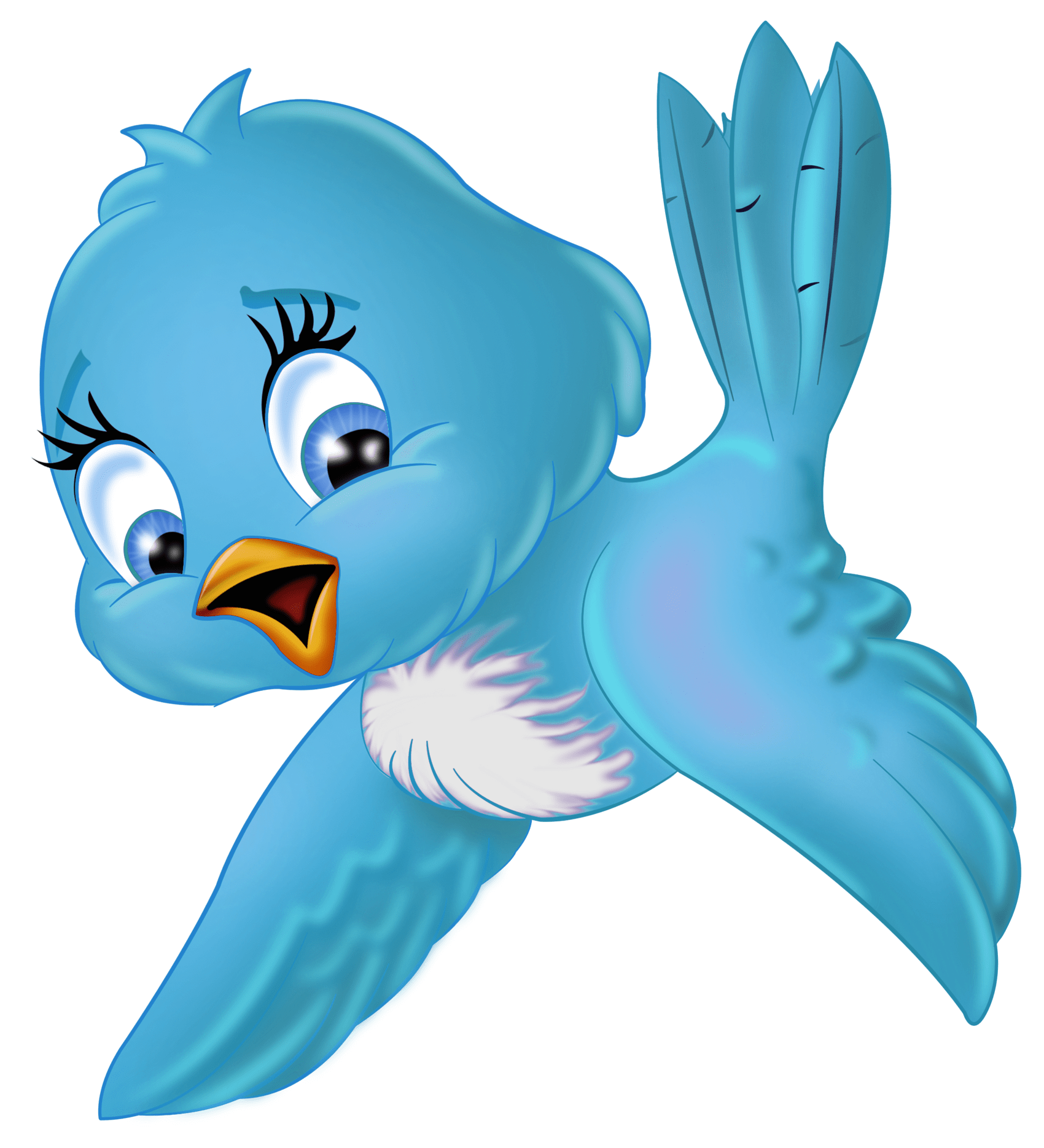 Snow White Blue Bird