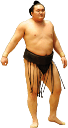 Sumo Wrestler Standing