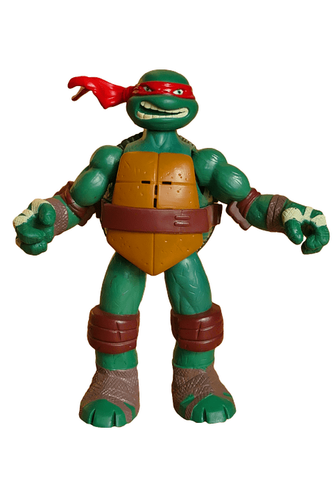 Ninja Turtle Figure