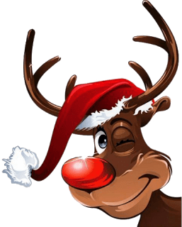 Santa Claus Reindeer