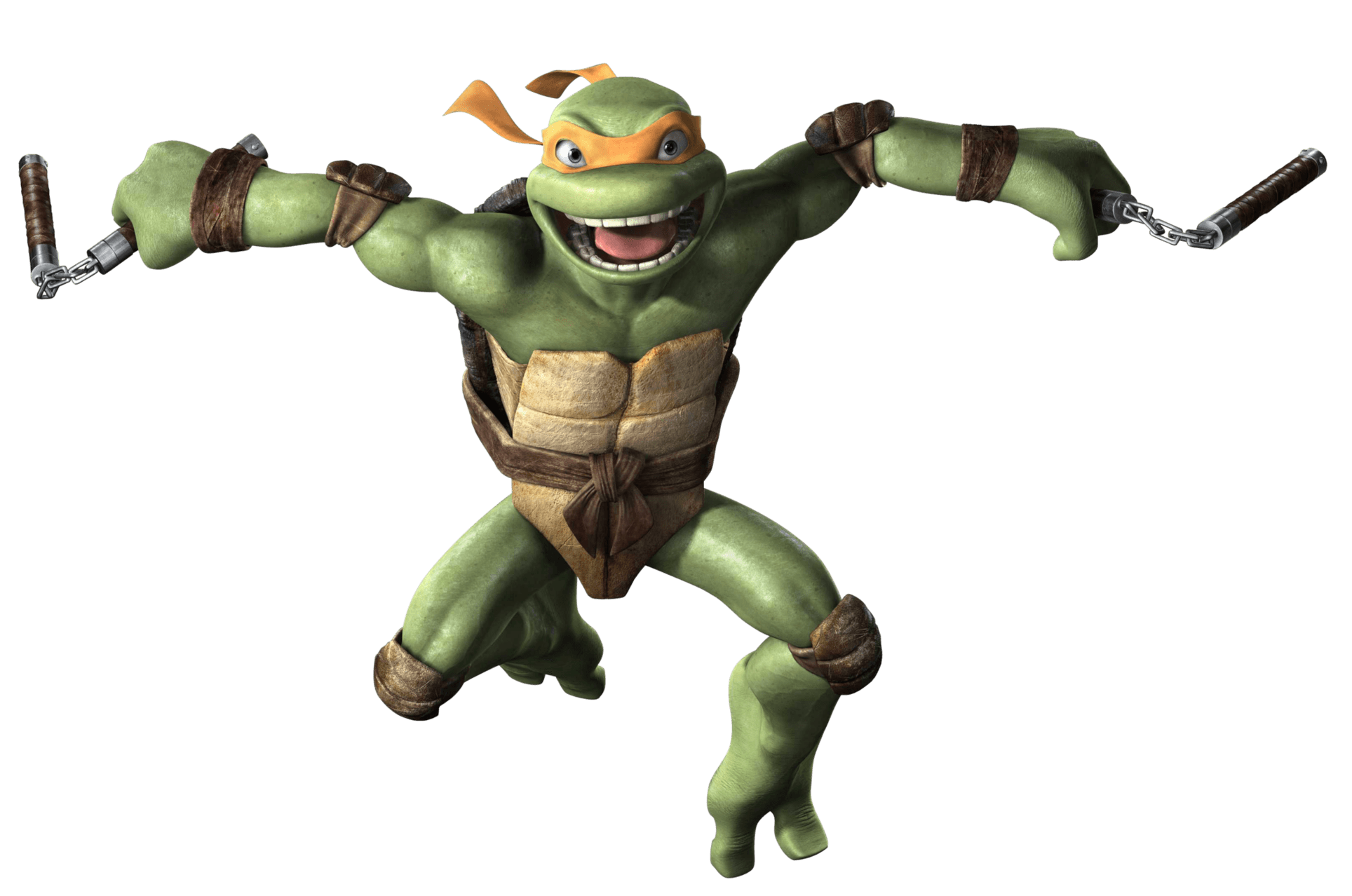 Tmnt Michelangelo