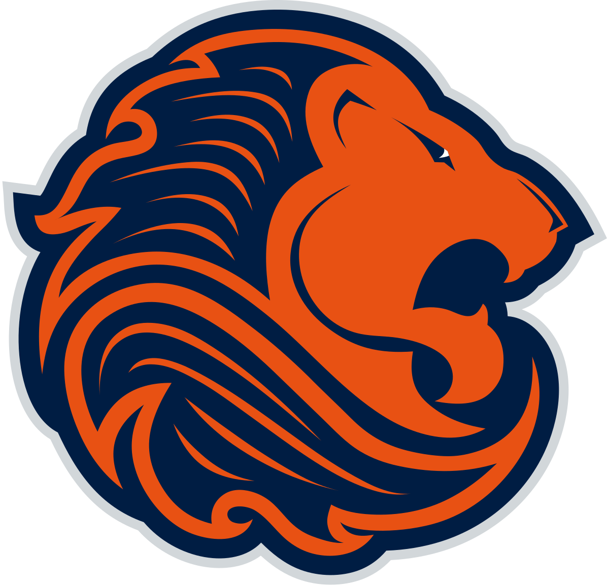 Netherlands National Ice Hockey Team 