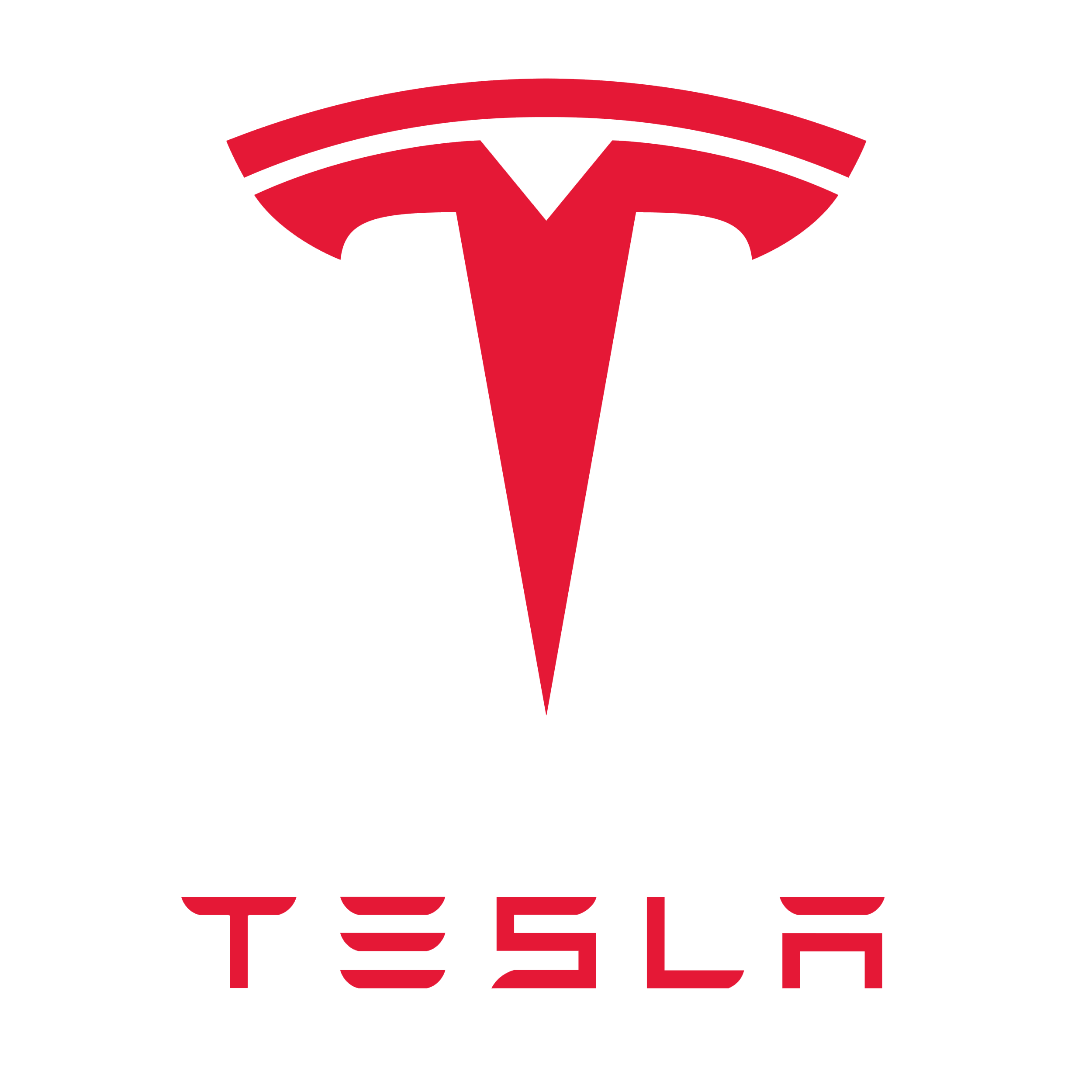 Car Logo Tesla