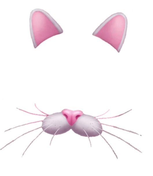 Snapchat Filter Bunny Rose