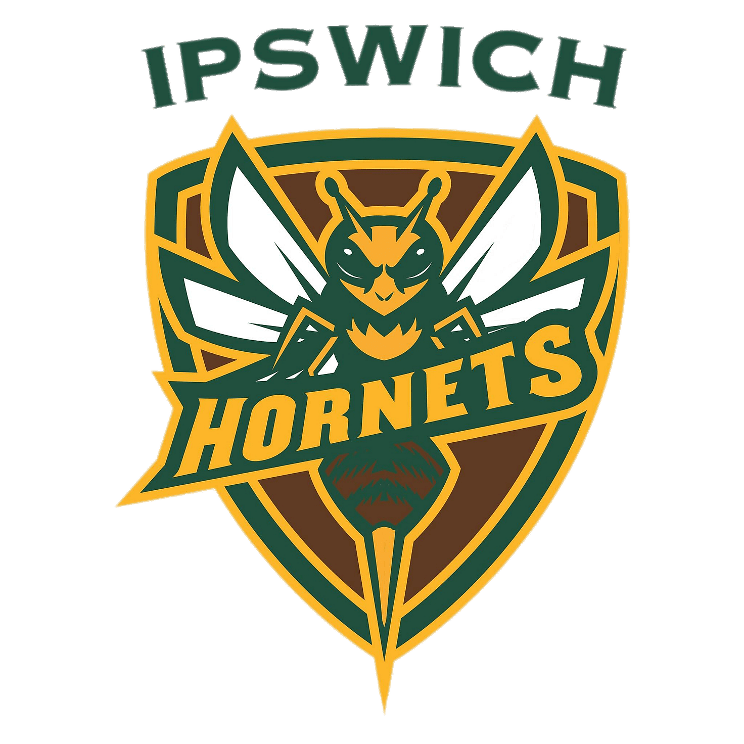 Ipswich Hornets Cricket Club 