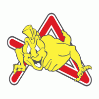 USD 1913 Seregno Calcio