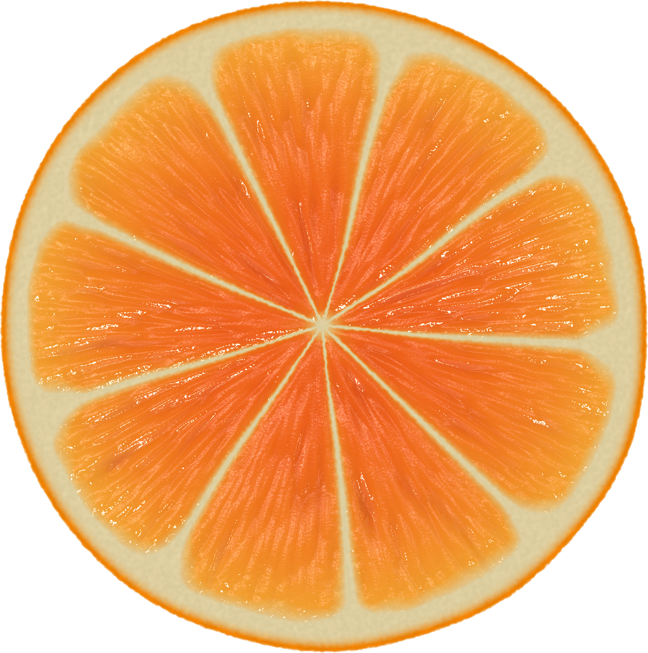 Large Orange Slice