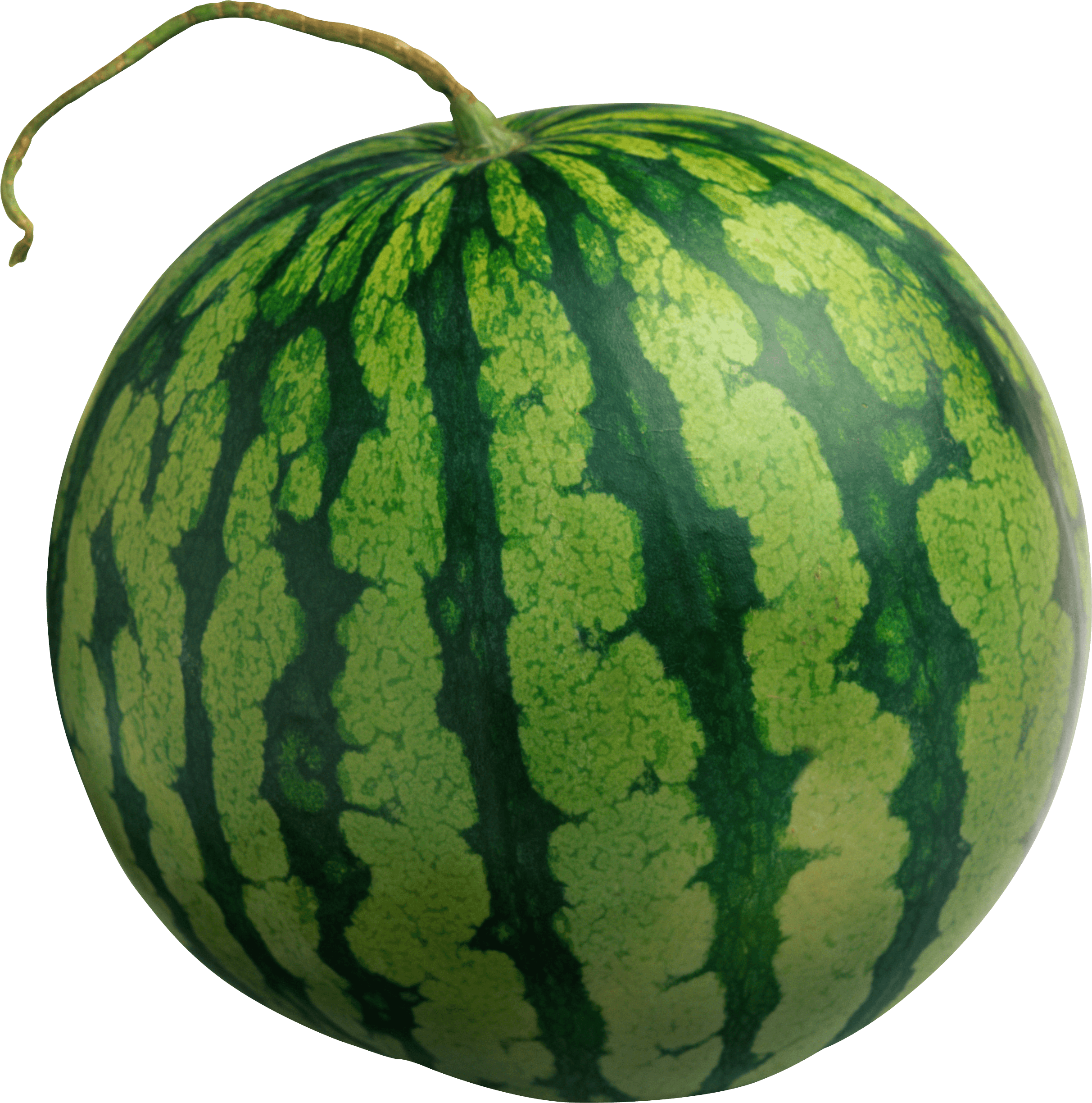 Large Isolated Watermelon