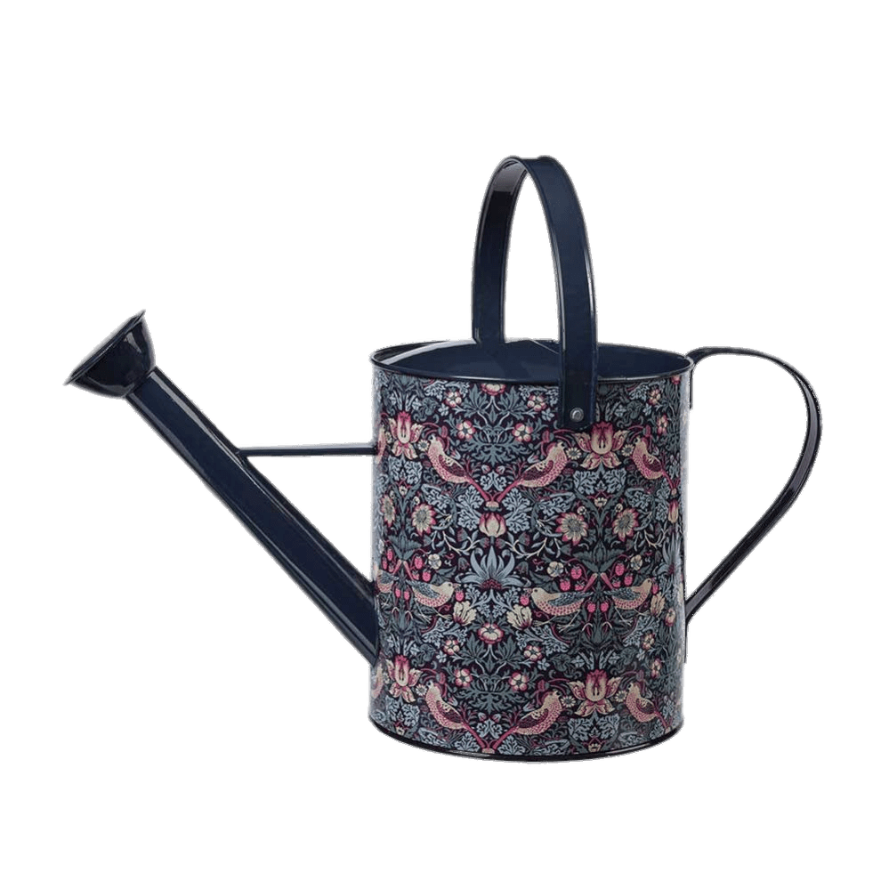 Decorated Blue Watering Can