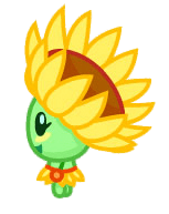 Pipa the Smiley Sunflower Turned To the Left