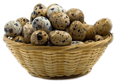 Basket Of Quail Eggs