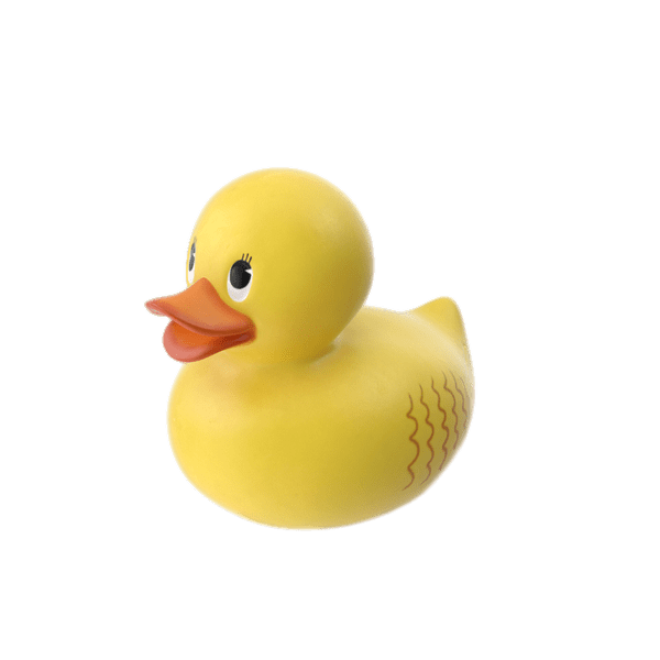 Little Rubber Duck
