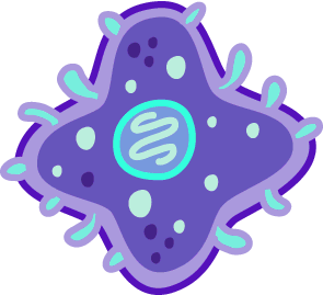 Bacteria Cell Cartoon