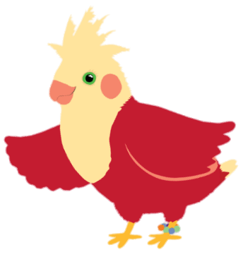 3rd&Bird Rudy the Cockatoo