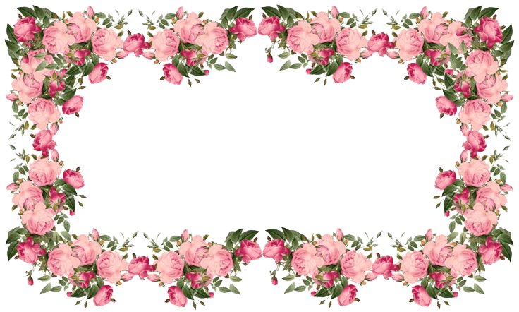 Flowers Pink Frame