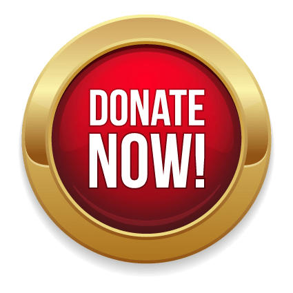 Donate Now Gold and Red Button