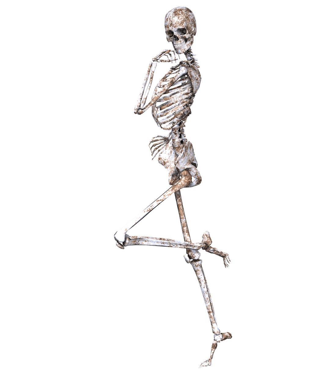 Skeleton on One Leg