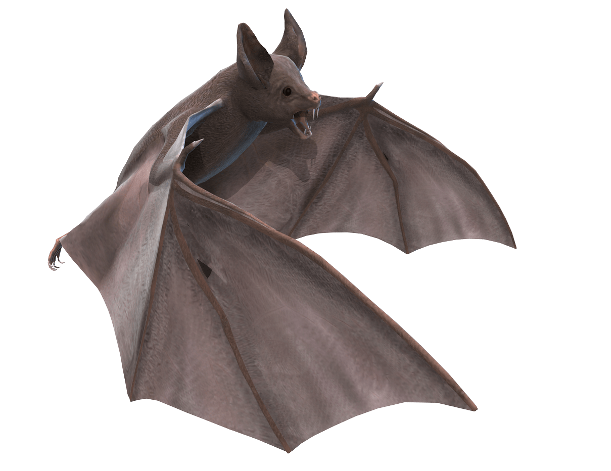 Grey Bat 3D Illustration