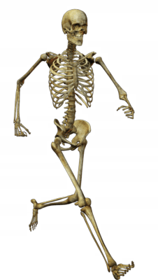 Running Skeleton