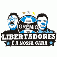 Copa Santander Libertadores