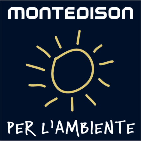 Montedison