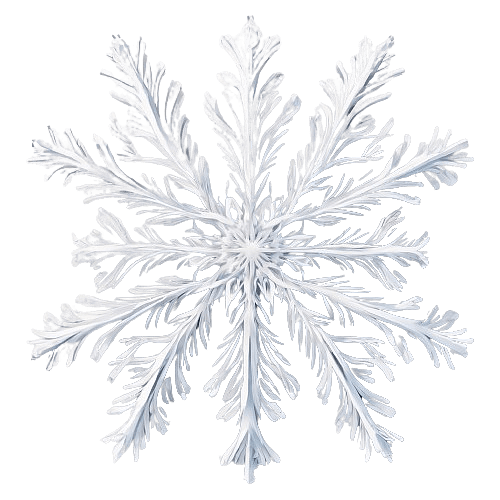 Harmonious Snowflake