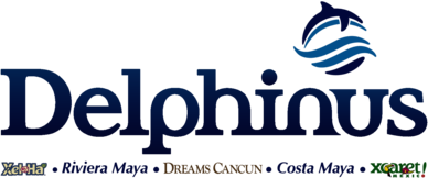 Delphinus