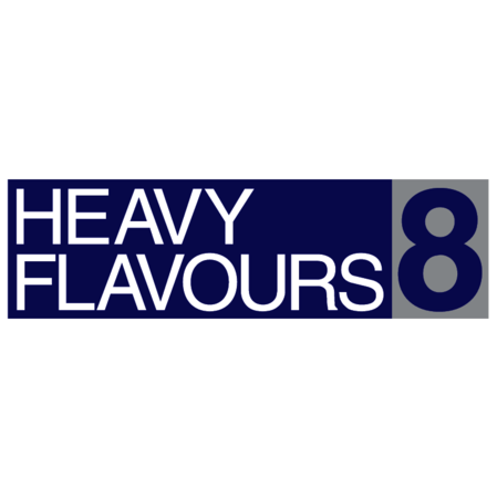 Heavy Flavours