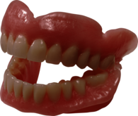 Teeth