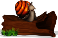 Snail on A Tree Trunk