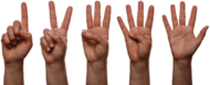 Finger Counting
