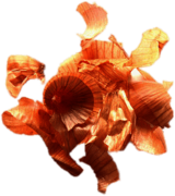 Onion Peels