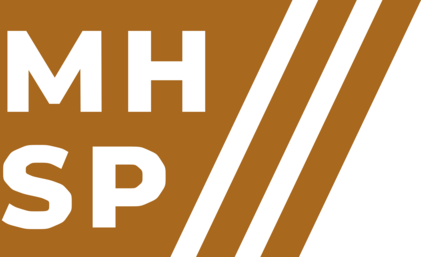 Malik & Härke, Strategic Partners Solutions GmbH